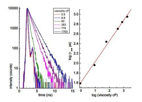 利用熒光壽命測量獲得局部粘度值